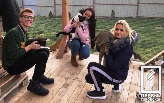 «Счастливая лапка»: в Кривом Роге студенты провели благотворительную экоакцию и помогли бездомным животным