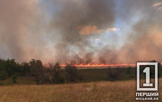 Запальне хобі коштуватиме дорого: які штрафи за спалювання трави та листя діють у 2026 році