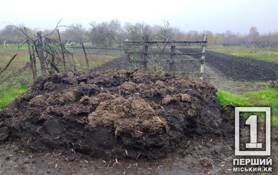 Купа гною - на березі річки: поблизу Саксагані у Кривому Розі серйозно забруднили ґрунт