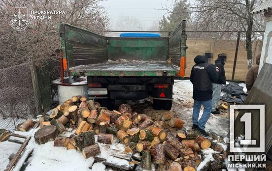 На Дніпропетровщині депутат-лісник попався на махінаціях із цінним дубом
