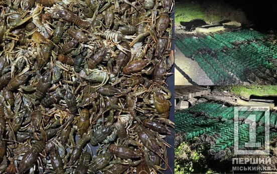 Мільйон за раків: на Інгульці піймали браконьєра-рекордсмена