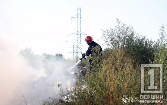 Полум'я нищило все довкруг: на Дніпропетровщині за добу вогнеборці приборкали 20 пожеж просто неба