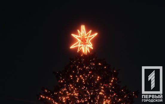 Раз, два три – ялиночка, гори: як у Кривому Розі запалили вогні на головному новорічному символі