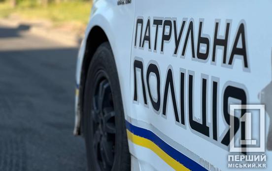 За останній тиждень у Зеленодольській громаді Криворізького району правоохоронці зафіксували низку правопорушень: від грабежу до керування автомобілем у нетверезому стані