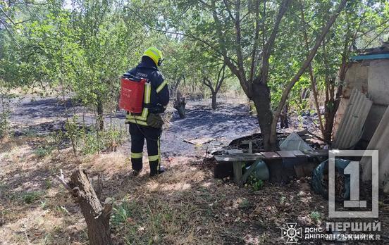 Рятував своє господарство і отримав опіки: на Дніпропетровщині за добу вигоріло понад 26 гектарів