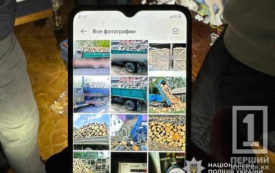 Дурив людей через соцмережі: в’язень криворізької виправної установи продавав дрова із «віртуальної пилорами»