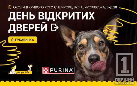 Знайти пухнастого друга: притулок «Рукавичка» кличе криворіжців на День відкритих дверей