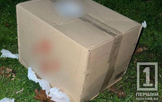 У посилці – близько кілограма заборонки: у Кривому Розі затримали молодика, що отримав наркотики через поштомат