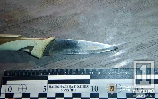 Кинувся на онуку з ножем: у Кривому Розі затримали діда-агресора