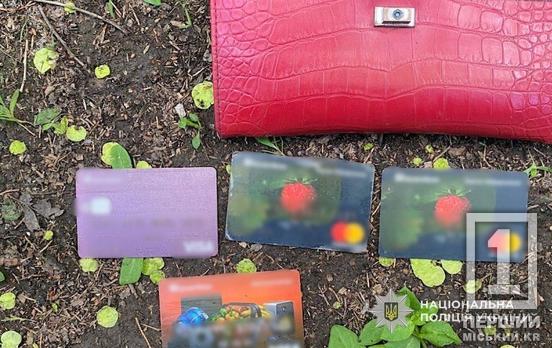 Далеко втекти не вдалося: у Зеленодольську поліція наздогнала грабіжника, який напав на пенсіонерку