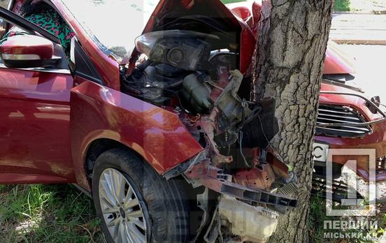 У Кривому Розі на вулиці Романа Рибалки Ford врізався в дерево