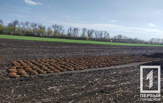 В поле недалеко от Кривого Рога нашли почти четыре сотни противотанковых мин