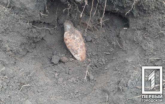Неподалік Кривого Рогу біля залізничного переїзду знайшли застарілий міномет часів Другої світової війни