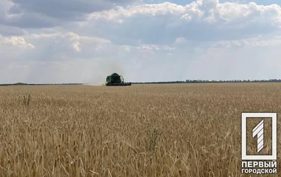 На Дніпропетровщині вже зібрали більше мільйона тонн зерна нового врожаю, – Комітет з питань аграрної та земельної політики