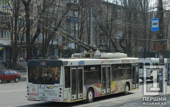 Обрізатимуть аварійні дерева: у Кривому Розі на два дні змінять рух тролейбусів