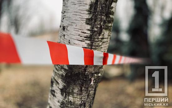 Вночі ворог атакував Кривий Ріг «шахедами»: є поранений та пошкодження