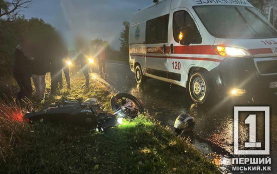 Миттєва смерть мотоцикліста у кюветі після зіткнення з HONDA: поліція шукає свідків ДТП на криворізькій трасі