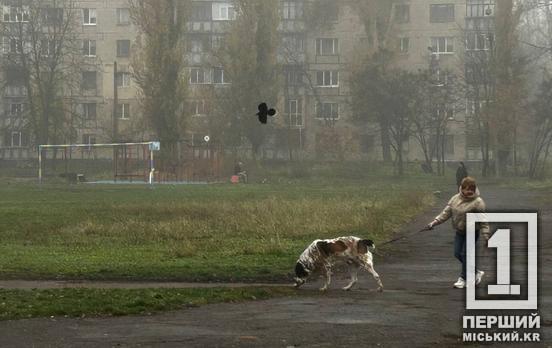 Житло українців можуть перевіряти: кого торкнеться посилення контролю