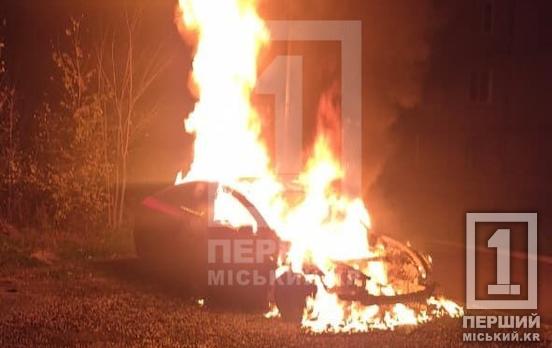 Полум’я у понад два метри висотою: у Кривому Розі цілком вигоріла Tesla