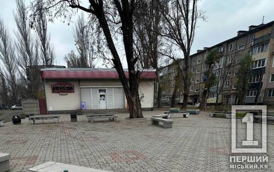 Загибель дитини завжди ранить найглибше: у Кривому Розі вбили 16-річного підлітка