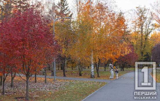 Дніпропетровщина стає чистішою: громади регіону активно борються зі звалищами та залучають іноземні гранти