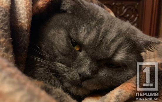 Коли батареї не гріють: МОЗ поділилося рекомендаціями як зігрітися взимку і не «наробити справ»