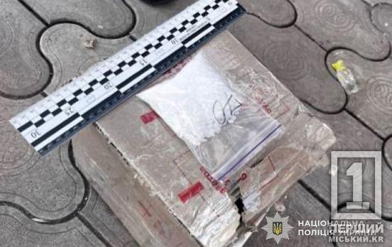 Наркотики поштою та граната під ліжком: у Кривому Розі затримали ділка