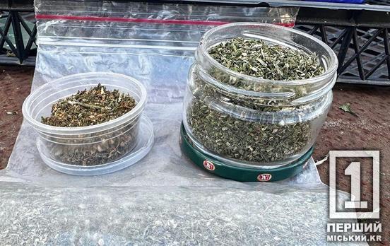 Кокаїн у флаконах з-під шампуню та VIP-сервіс у комендантську годину: під суд піде наркоугруповання, що промишляло у Дніпрі та інших містах