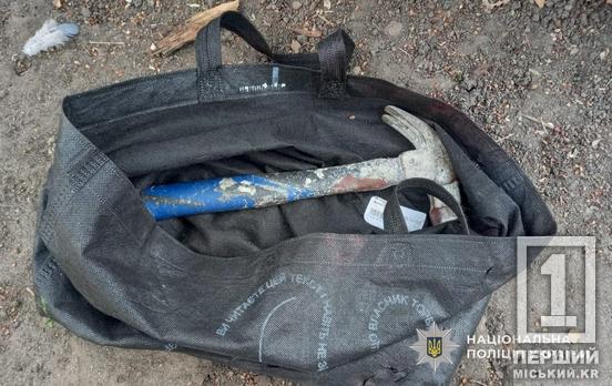 Привіталися й дали молотком по голові: на Дніпропетровщині двоє чоловіків обікрали жінку у власній оселі