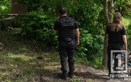 Небезпечна знахідка: у Кривому Розі біля закинутих гаражів виявили гранату
