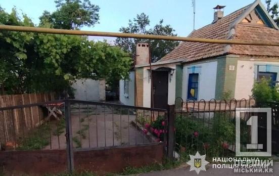 Знеструмив хату і вибив вікно: на Криворіжжі молодик пограбував літнє подружжя