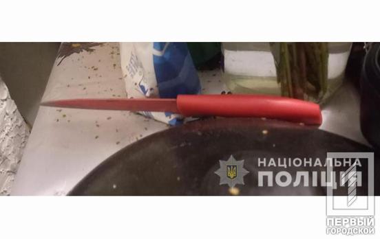 У Кривому Розі жінка вдарила знайомого ножем, її затримала поліція