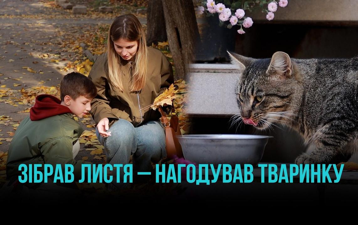 40 ЛИСТОЧКІВ – КОРМ ДЛЯ ТВАРИН: АКЦІЯ ДОБРА У КРИВОМУ РОЗІ