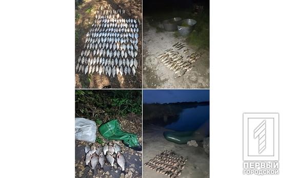Понад 470 тисяч гривень збитків: у Криворізькому районі затримано двох «чорних» рибалок