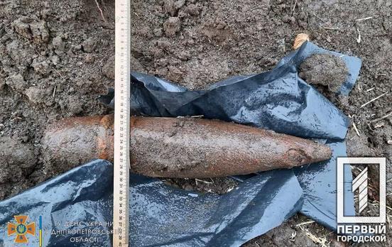 Недалеко от Кривого Рога женщина нашла артиллерийский снаряд