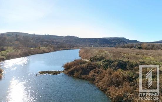 В реках Кривого Рога обнаружили повышенное содержание хлоридов