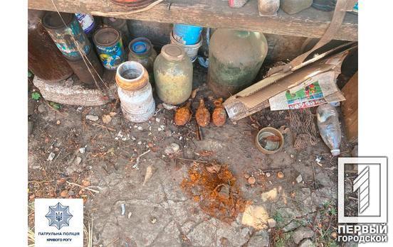В Кривом Роге мужчина у себя во дворе нашёл ржавые боеприпасы