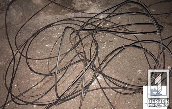 Поймали «на горячем»: патрульные Кривого Рога задержали любителей медного кабеля