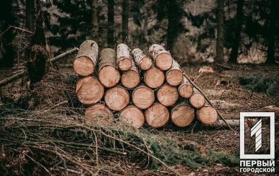 «Чёрные» лесорубы: недалеко от Кривого Рога задержали злоумышленников, которые спилили почти два десятка деревьев