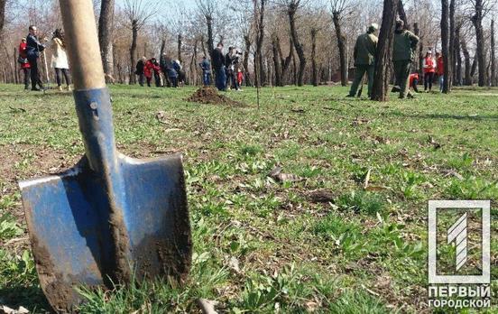 В Кривом Роге в канун Дня добровольца высадили 1000 деревьев