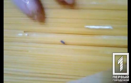 Дополнительный белок: жителям Кривого Рога в спагетти попались жуки, – соцсети