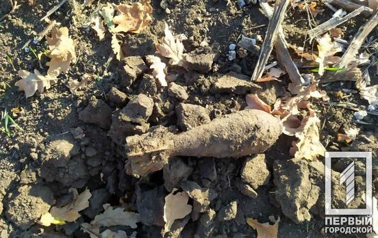 Под Кривым Рогом возле нефтепровода обнаружили миномётную мину