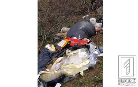 Грустная «картина»: в Кривом Роге снова разбросали мусор на недавно убранном берегу реки