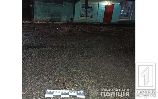 Двое мужчин избили жителя Кривого Рога в Софиевке