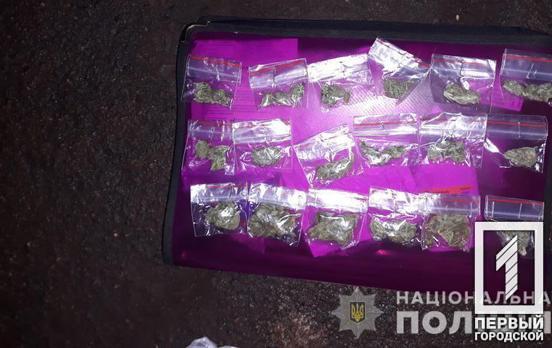 18 пакетиков с марихуаной: в Кривом Роге полиция задержала дилера