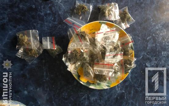 В Кривом Роге правоохранители обнаружили у мужчины слип-пакеты с наркотиками