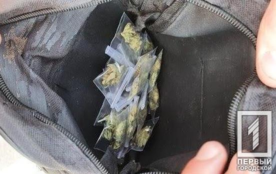 15 пакетиков марихуаны: полицейские Кривого Рога изъяли наркотики у местного жителя