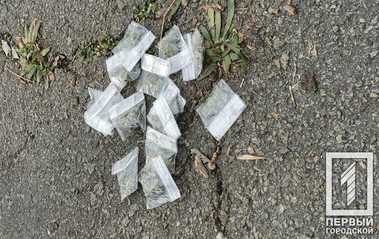14 пакетиков с марихуаной: в Кривом Роге правоохранители задержали мужчину с наркотиками