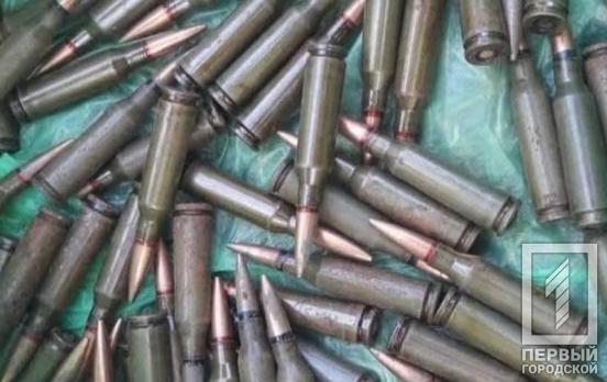 59 патронов: полицейские Кривого Рога нашли у мужчины боеприпасы