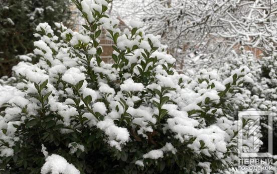 20 января в Кривом Роге будет небольшой снег